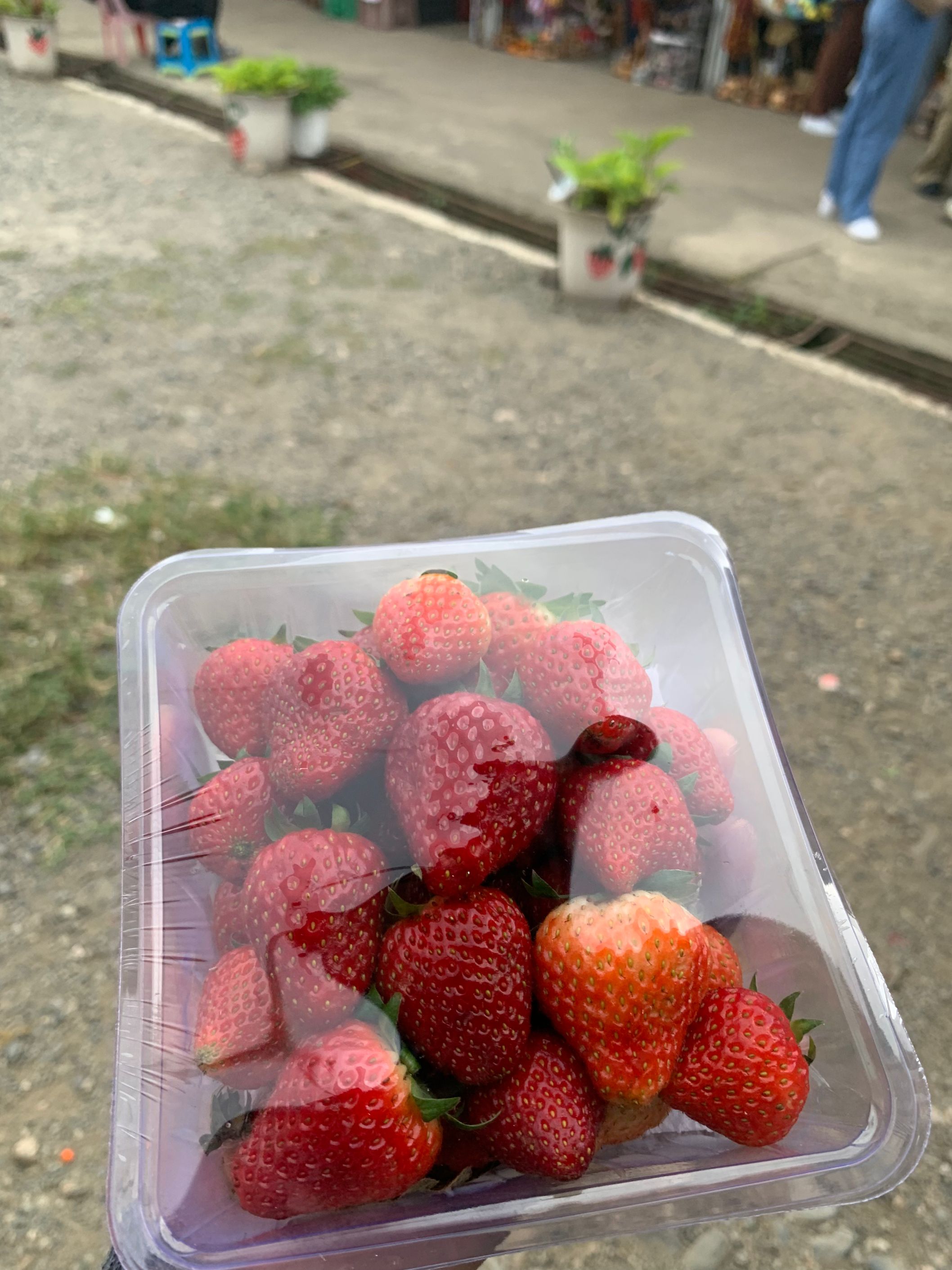 strawberry